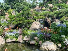 -罗红摄影艺术馆