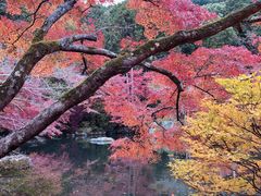 -醍醐寺