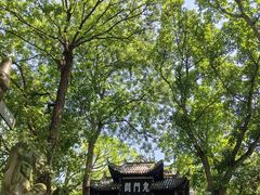 -丰都鬼城名山景区