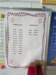 -秦皇星际小蚂蚁乐园
