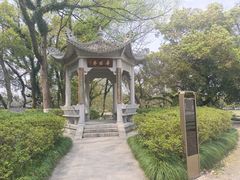 -江心屿景区
