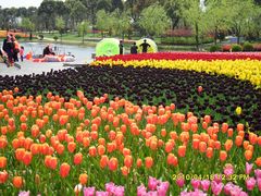 -上海鲜花港
