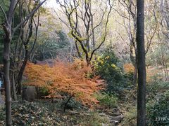 -穹窿山景区