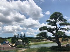 -迪茵湖田家舍生态农场