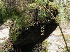 -西岭雪山大飞水景区