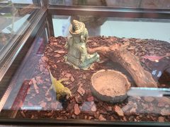 -三旗百汇商品城