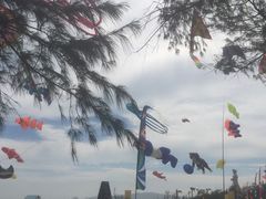 -汕头中海黄金海岸水上乐园