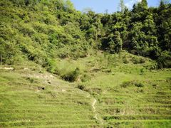-武隆天坑地缝国家地质公园