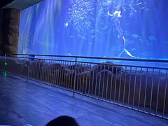 -华夏文旅海洋公园