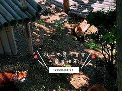 -大连森林动物园