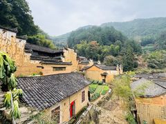 -杨家堂村