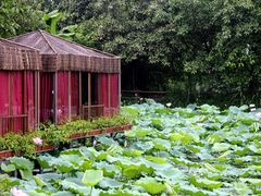 IMG_5209-茂德公草堂