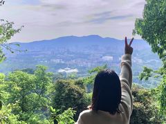 -火炉山森林公园