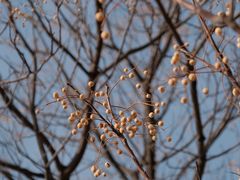 -汉长安城未央宫国家考古遗址公园