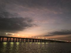 -宝安西湾红树林湿地公园