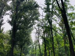 -顺鑫绿色度假村