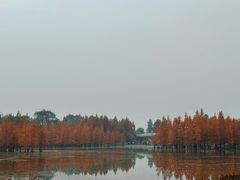 -白鹭湾湿地公园