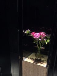 点击看大图 -美壹生皮肤管理中心