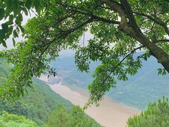 -铁山坪森林公园