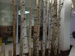 -极简口腔(总院)