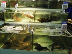 -盒马鲜生(宝地店)