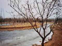 -张家湾公园