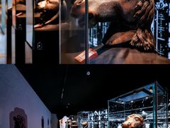 -北京世纪金源购物中心(远大路店)