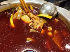 -冯记香辣兔火锅(茶店子总店)