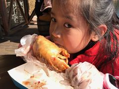 -迪士尼火鸡腿