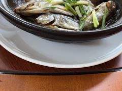 -三得正宗乌烈乳羊(环城东二路店)