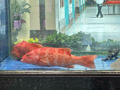 -小榄人家酒楼(民安店)