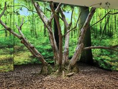 -极简口腔(总院)