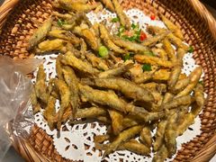 -大榕树下顺德菜(融创茂店)