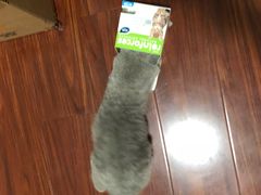 -猫大福·Fortune Cat猫舍(百子湾店)
