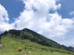 -朱雀国家森林公园