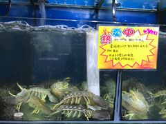 -蚝专家(北滘店)