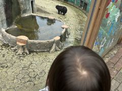 -柳州市动物园