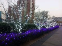 -远洋未来广场(育慧北路店)