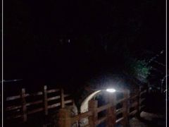 -罗浮山-南楼寺