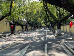 -美丽心情蛋糕(江苏路店)