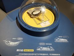 -湖南省地质博物馆