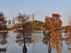 -顺峰山公园