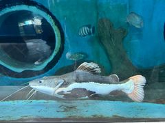 -苏州海洋馆