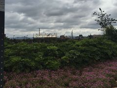 -云南艺术学院(呈贡校区)