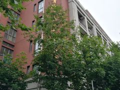 -上海市黄浦区卢湾第一中心小学