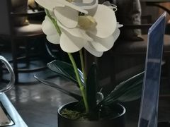 -钟菜·粤菜点心·宴请(海上世界·汇港二期店)