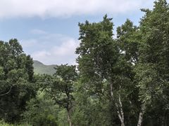 -灵山