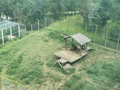 -青藏高原野生动物园