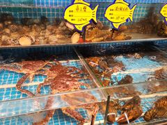 -韩记海鲜饺子旗舰店(红海新区店)
