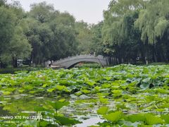 -北陵公园